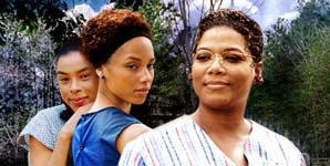 thexsecretxlifexofxbeesx03x12x08xfc