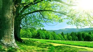 nature