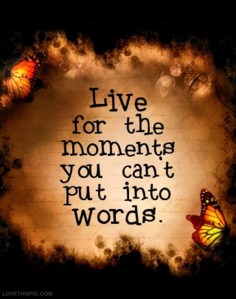 33348-Live-For-The-Moments-You-Cant-Out-Into-Words