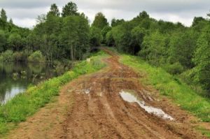 8695127-old-rural-bumpy-road