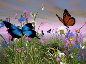 -beautiful-butterflies-wallpapers-butterfly-wallpaper-mail-add-y-o-ibackgroundz.com