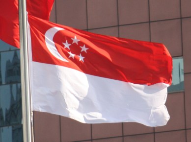2012_Flag_of_Singapore_Photo