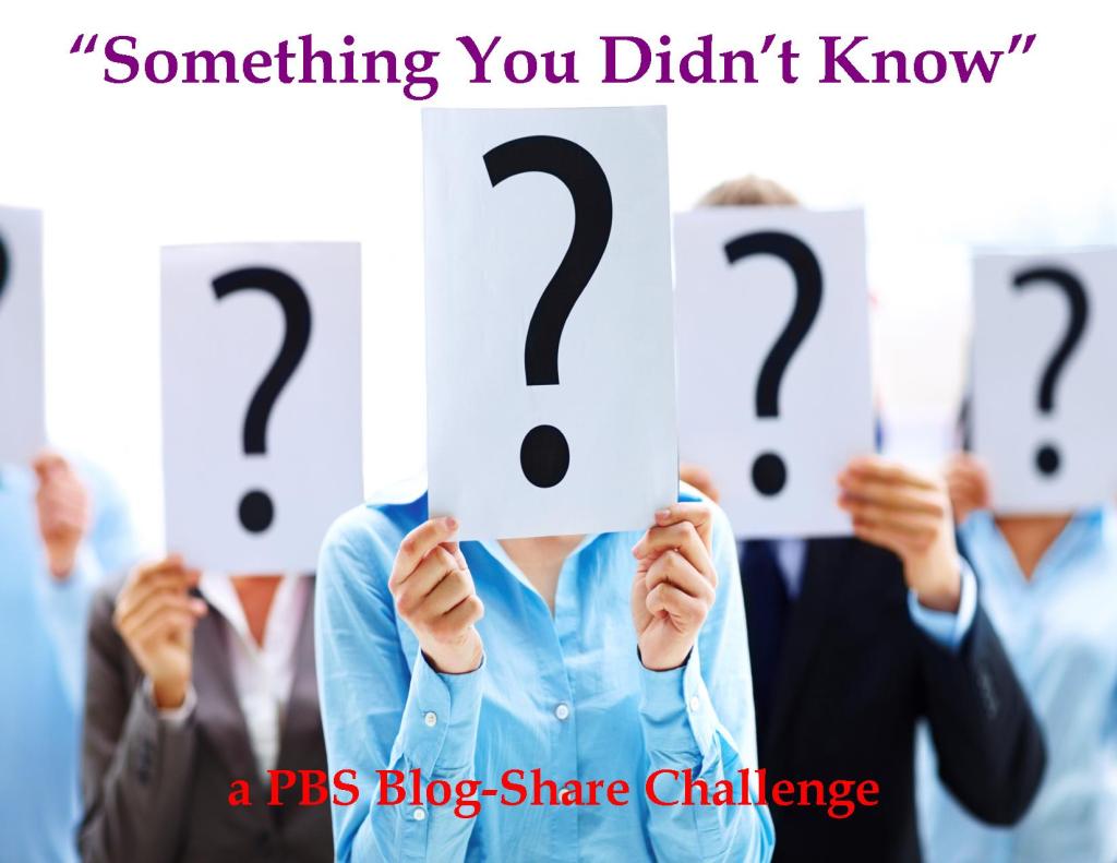 Something You Didn't Know-PBS