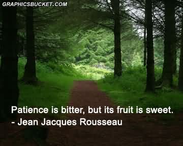 patience-is-bitter-but-its-fruit-is-sweet-jean-jacques-rousseau