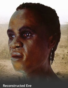 A skull of Mitochondrial Eve was discovered, and through digitally reconstructing her features, this image was constructed.