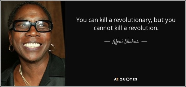 quote-you-can-kill-a-revolutionary-but-you-cannot-kill-a-revolution-afeni-shakur-93-31-36