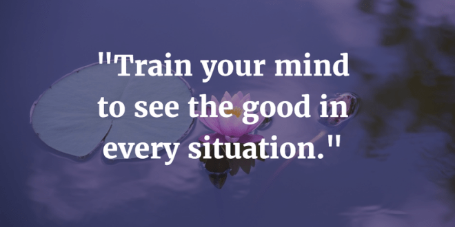 174ab90e17f8a24d89368d6ae5b81349