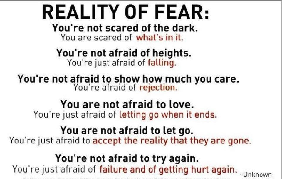 2047870168-reality-of-fear