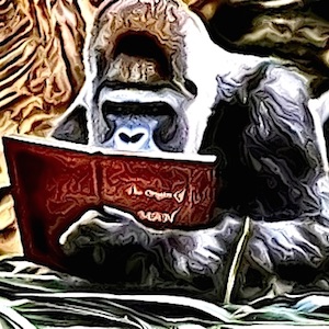 The Story Reading Ape